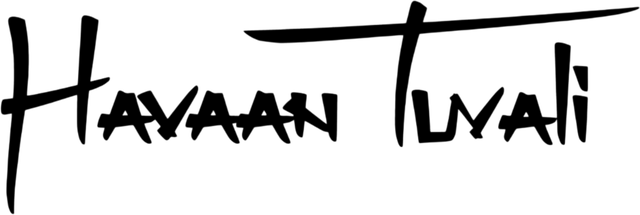 Logo Havaan Tuvali